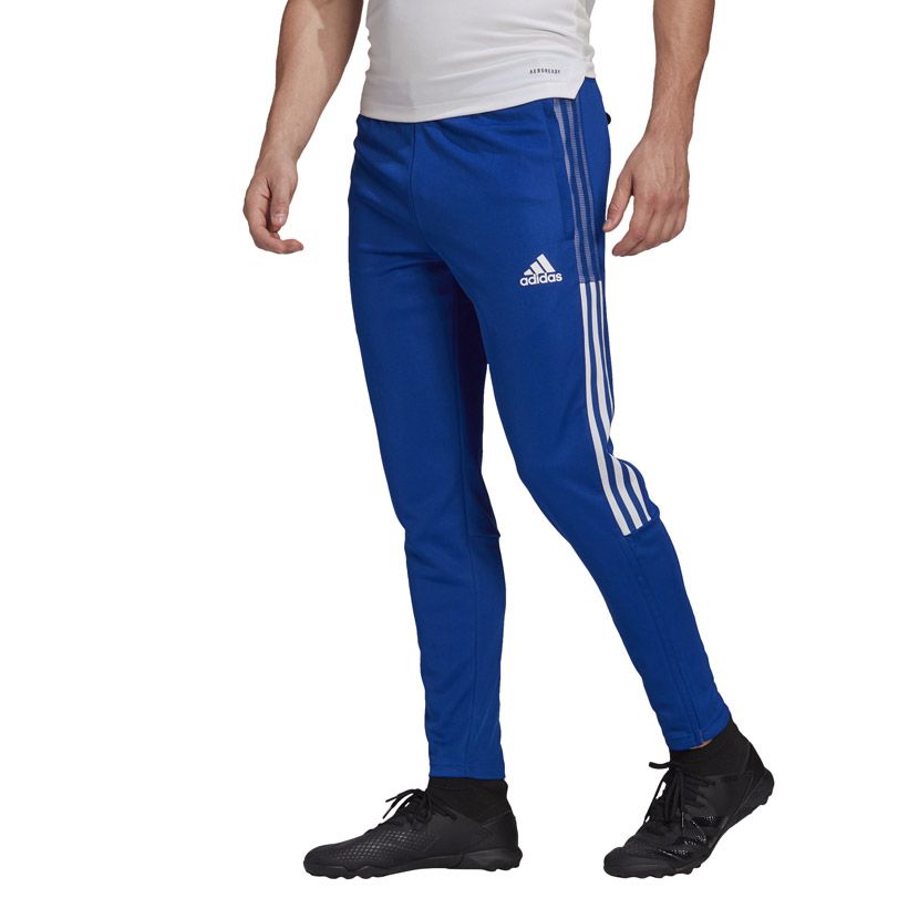 Pence Opuesto Rafflesia Arnoldi Shop adidas Performance Tiro 21 Track Pants Men Royal Blue | Stud